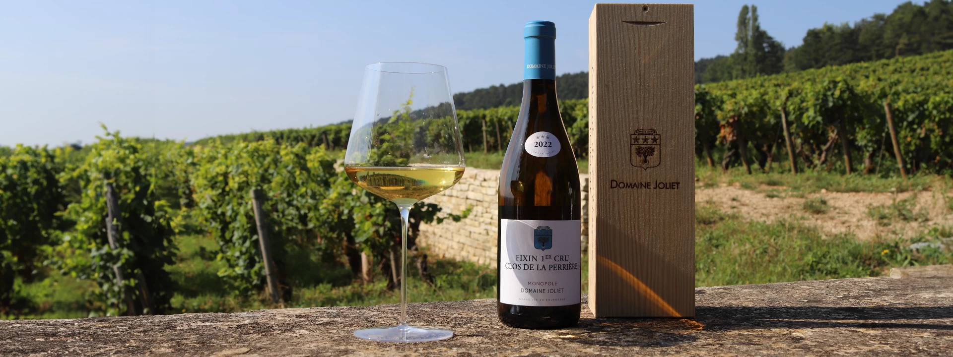 vin bourgogne - fixin premier cru blanc